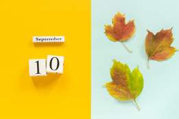 september 10 in blocks next to leaves
